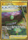 100-turffieldstadium