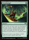 113-cowabunga