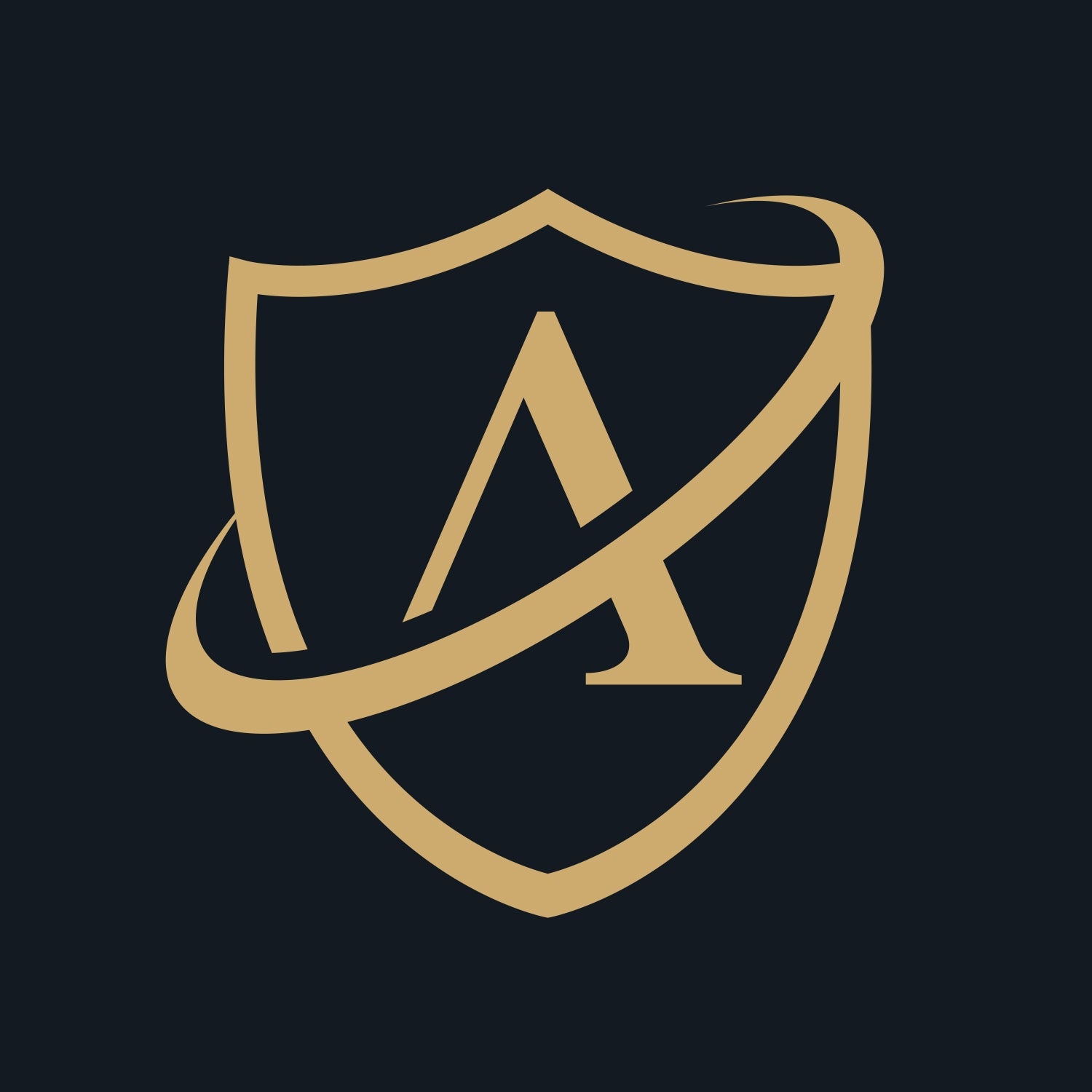 ACE Shipping & Insurance (1 PER ORDER)