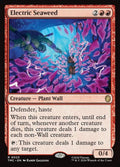 23-electricseaweed