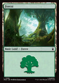 296-forest