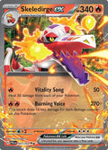 37-skeledirgeex