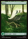 441-forest