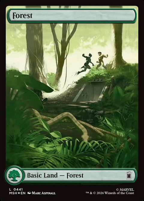 441-forest