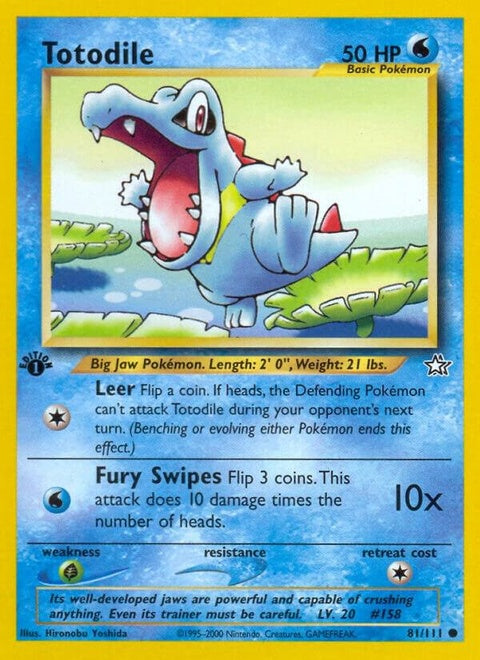 81-totodile