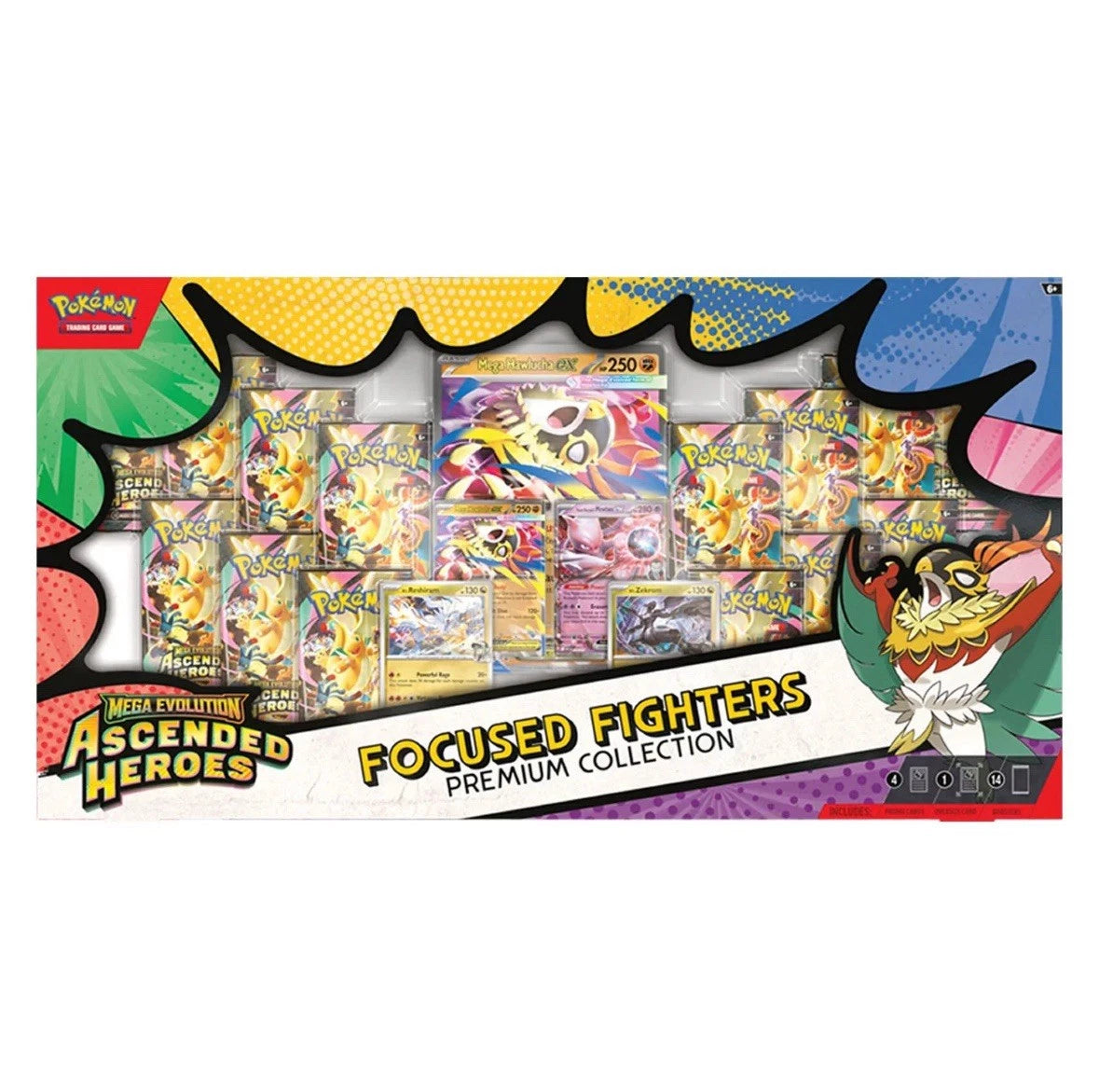 Ascended heroes focused fighters